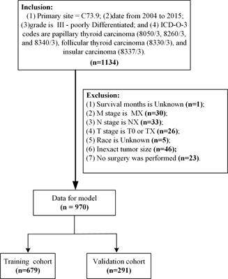 Development and validation of a nomogram model for cancer-specific survival of patients with poorly differentiated thyroid carcinoma: A SEER database analysis